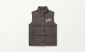 The Baudouin Puffer